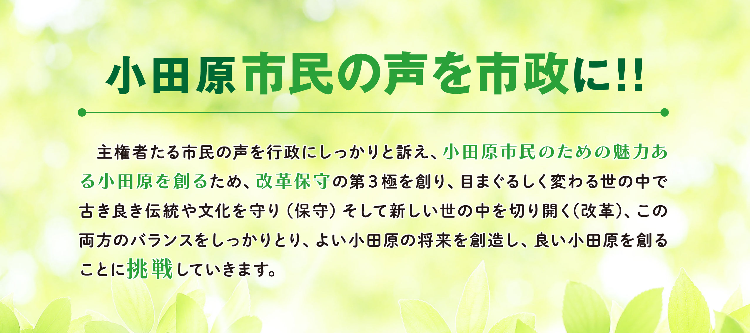 大川晋作めざす政策